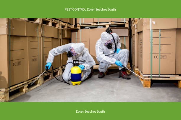 PEST CONTROL Dover Beaches South
